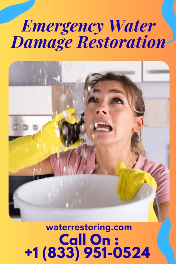 Emergency Water Damage Restoration in Rehoboth Beach, DE