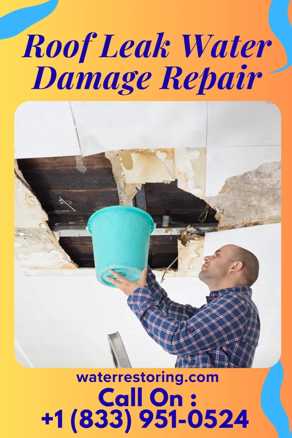Roof Leak Water Damage Repair in Rehoboth Beach, DE