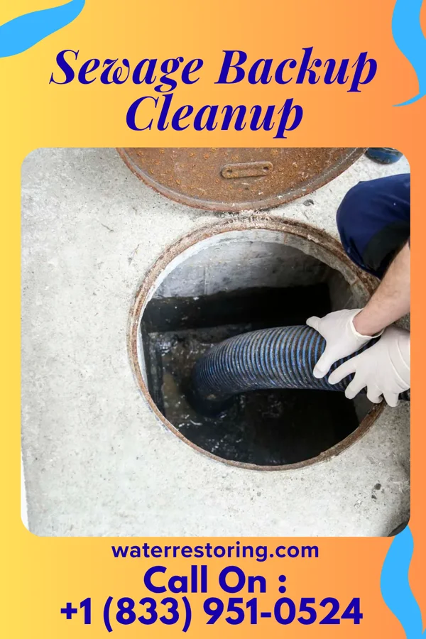 Sewage Backup Cleanup in Rehoboth Beach, DE
